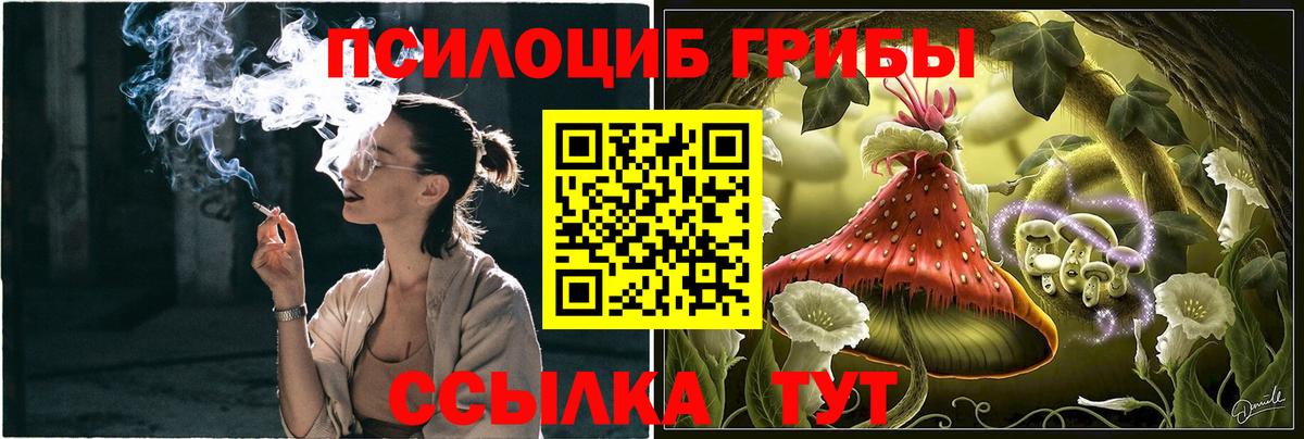 Ижевск  Галлюциногенные грибы ЛСД  Вход с VPN 