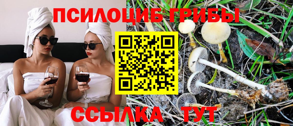 Галлюциногенные грибы ЛСД Ижевск