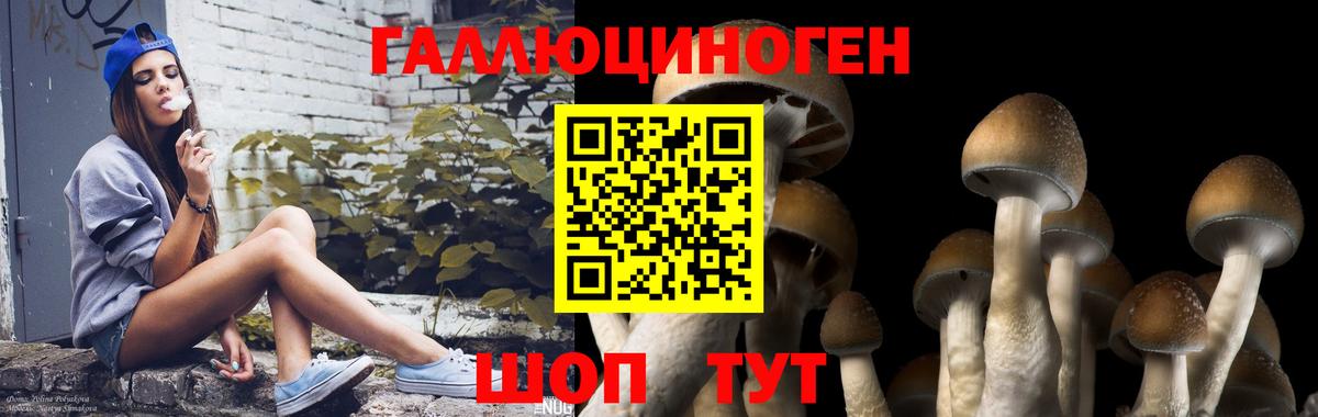 ГАШ Ижевск